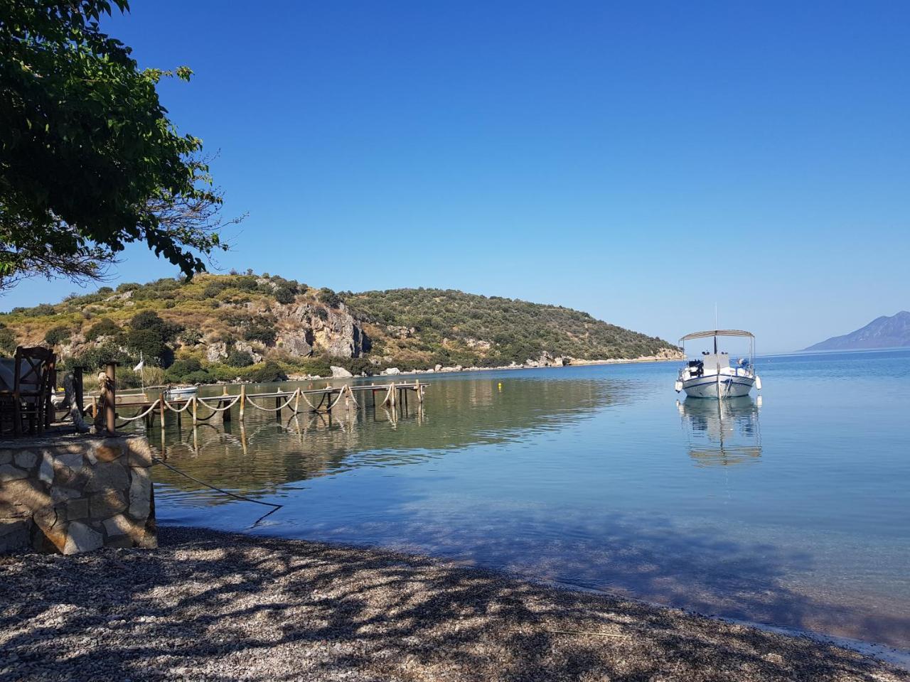 Πανσιόν Μουριά Bed and Breakfast Epidaurus Εξωτερικό φωτογραφία